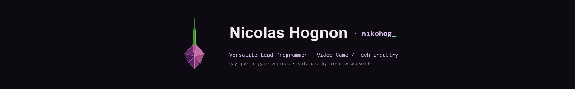 Nicolas Hognon - nikohog_ - versatile programmer, video game / tech industry